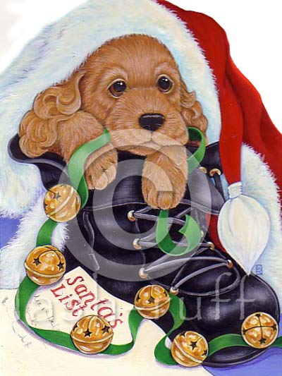 puppy in boot