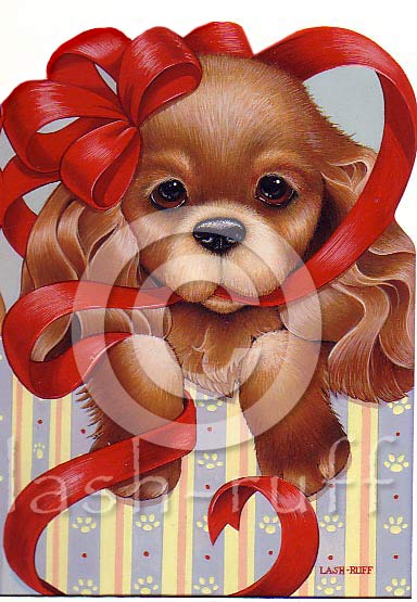 birthday puppy