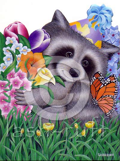 raccoon