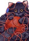 black cat